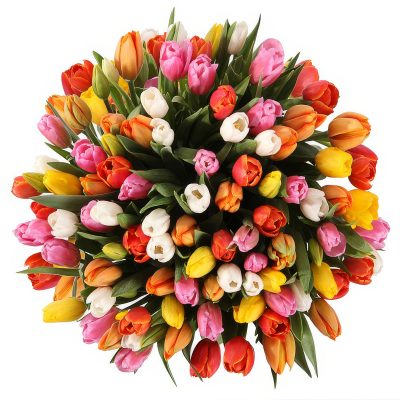 Акция! Тюльпаны 201 шт.